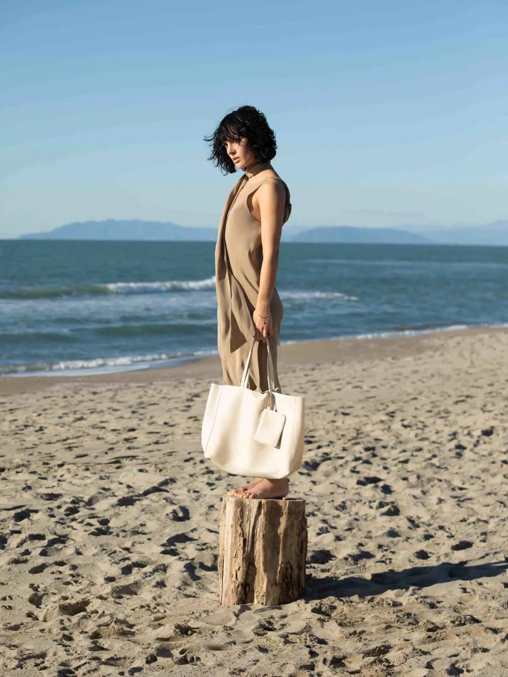 Carry-All Leather Tote